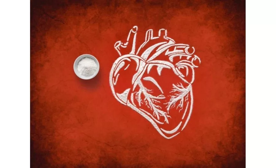 New study confirms that WACKERs Antioxidant HTEssence promotes heart health
