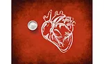 New study confirms that WACKERs Antioxidant HTEssence promotes heart health