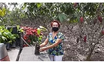 Barry Callebaut: Supporting Ecuadorian cocoa farmers to sustainably increase cocoa yields
