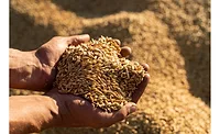 Univar Solutions appoints distributor of Evergrains plant-based ingredients, in multiple regions Univar Solutions appoints distributor of Evergrains plant-based ingredients, in multiple regions