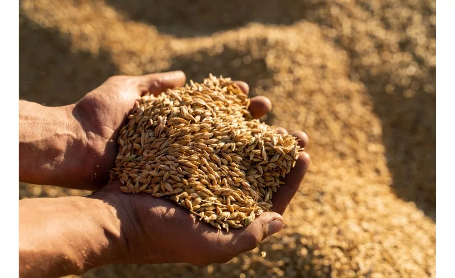 Univar Solutions appoints distributor of Evergrains plant-based ingredients, in multiple regions