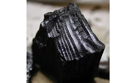 From cocoa shells to biochar: Barry Callebauts power to reduce carbon emissions and produce green energy