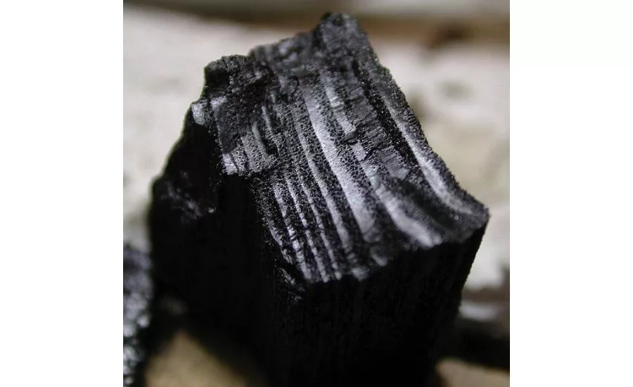 From cocoa shells to biochar: Barry Callebauts power to reduce carbon emissions and produce green energy