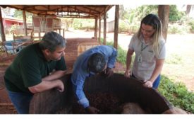 Cargill joins efforts to increase cocoa productivity in Pará while restoring forest areas
