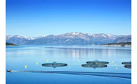 Prinova Europe agrees to partnership with sustainable marine experts Hofseth BioCare 