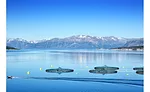Prinova Europe agrees to partnership with sustainable marine experts Hofseth BioCare 