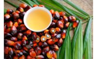 Malaysian Palm Oil industry develops blockchain tech to further improve accountability