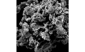 Tate & Lyle partners with Zymtronix to leverage novel enzyme immobilization technologies