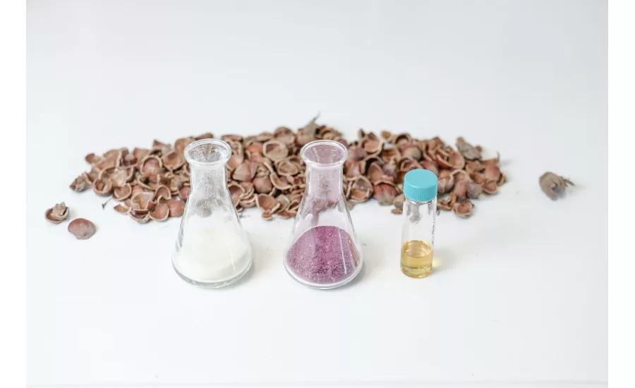 Bloom and Barry Callebaut partner to investigate biomass revolution