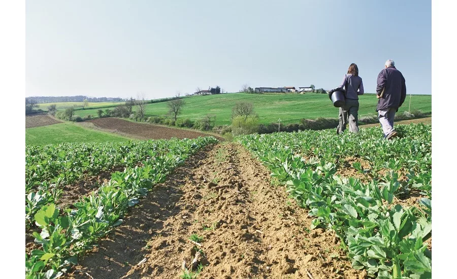 ECOCERT Group acquires CERTISYS, the Belgian body for organic certification