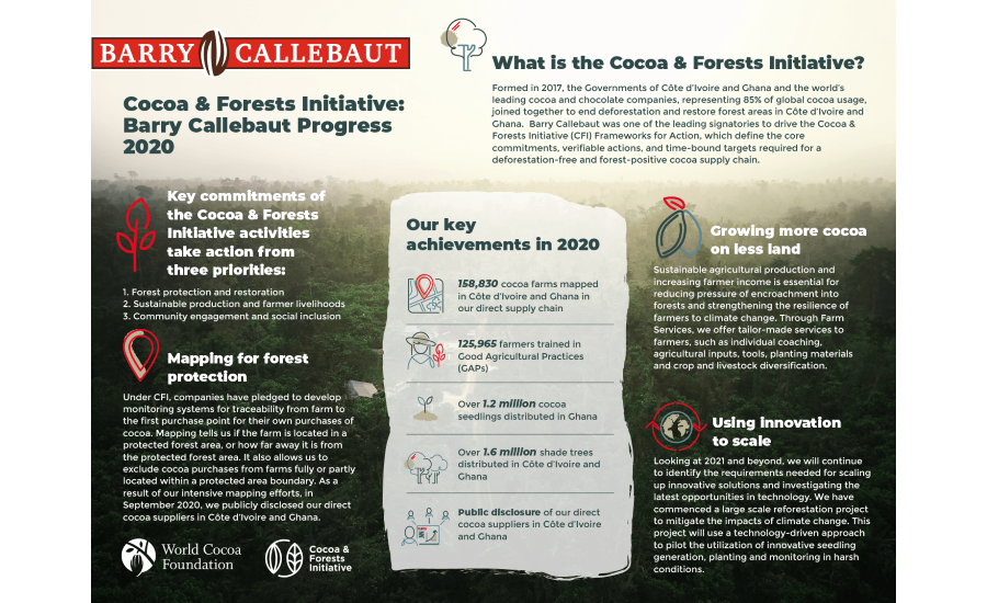Barry Callebaut: Why the future of chocolate depends on healthy forests