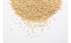 Exclusive interview: Q&A with Ardent Mills, on ancient grains and quinoa trends