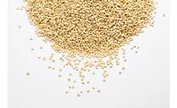 Exclusive interview: Q&A with Ardent Mills, on ancient grains and quinoa trends