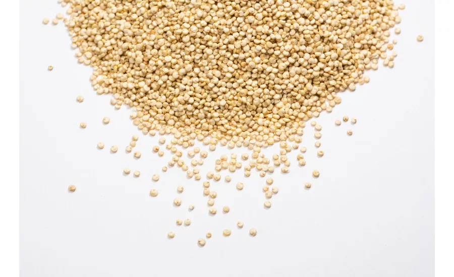 Exclusive interview: Q&A with Ardent Mills, on ancient grains and quinoa trends