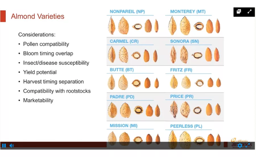 Almond Board 2021 Virtual Orchard Tour covers everything to know about almonds
