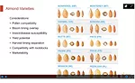 Almond Board 2021 Virtual Orchard Tour covers everything to know about almonds