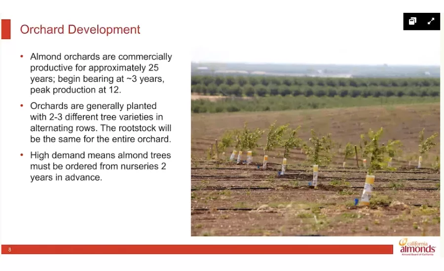 Almond Board 2021 Virtual Orchard Tour covers everything to know about almonds