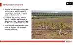 Almond Board 2021 Virtual Orchard Tour covers everything to know about almonds