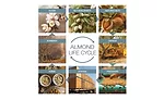 Almond Board 2021 Virtual Orchard Tour covers everything to know about almonds