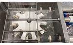 Snack and bakery market: Fast, thorough wet cleaning of conveyors ensures food safety