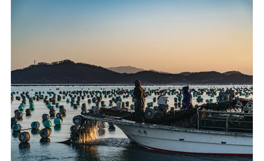 Q&A with gimMe Snacks: snacking on seaweed