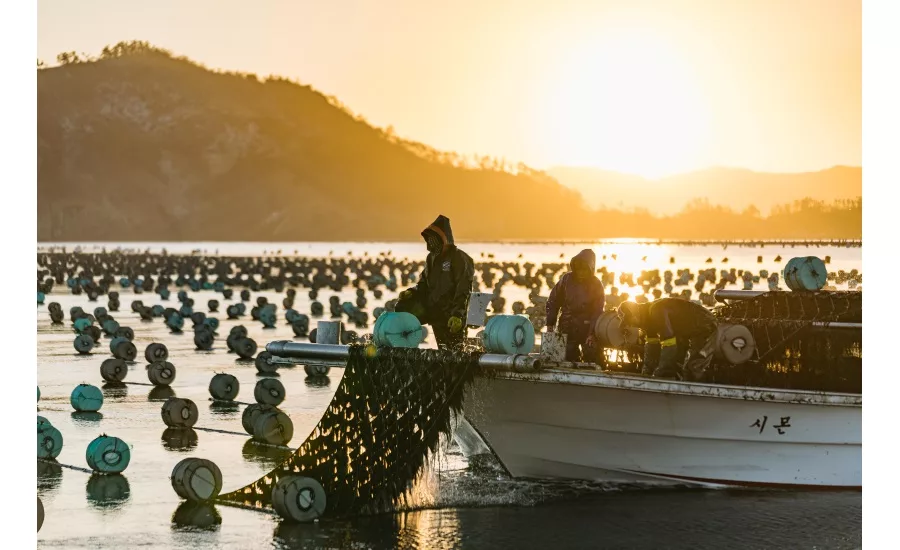 Q&A with gimMe Snacks: snacking on seaweed