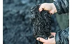 Q&A with gimMe Snacks: snacking on seaweed