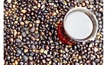 Cargill interview on palm oil