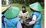Empowering women and sustainability in the palm oil industry