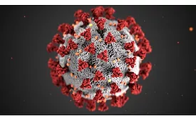 coronavirus default image covid-19