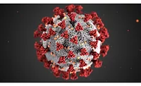 coronavirus default image covid-19