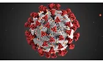 coronavirus default image covid-19