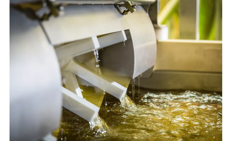 How the latest in food processing and packaging technology can help sustain consumer appetite for savory snacks
