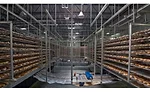 Cold storage strategies