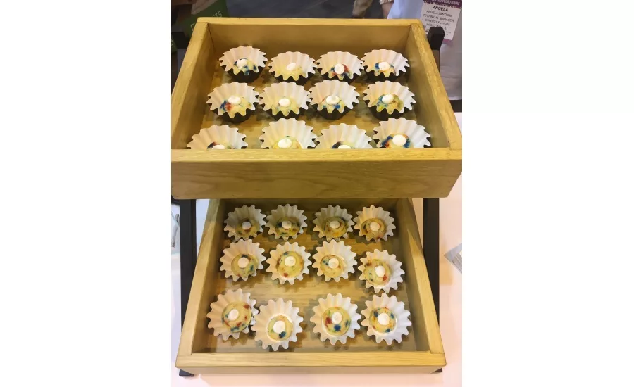 IFT roundup, 2019