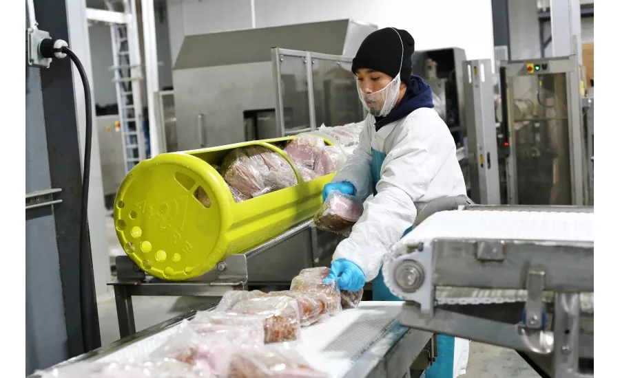 IFT roundup, 2019