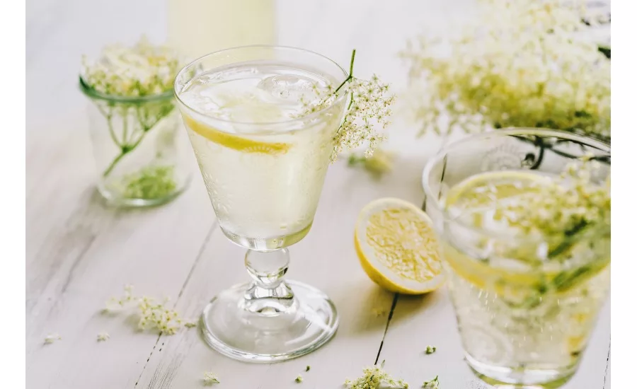 Elderflower