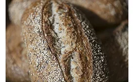 Bakery predictions for 2020