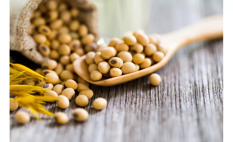 AAK inks deal to acquire lecithin business BIC Ingredients