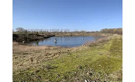 BENEO transforms settling pond into wildlife haven